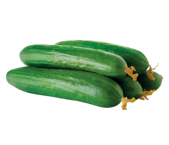 Огурец среднеплодный