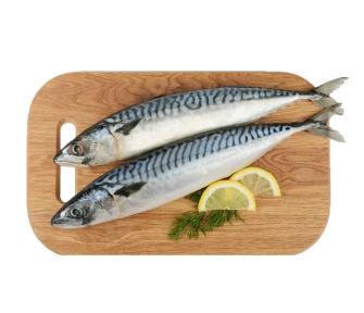 Скумбрыя свежамарожаная