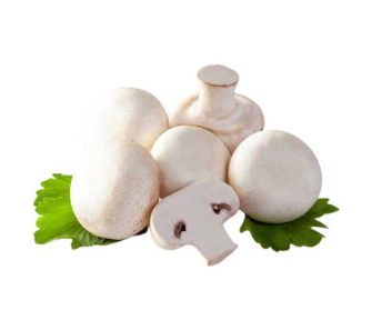 Грибы шампиньоны