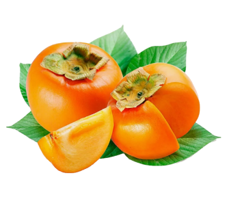 Хурма